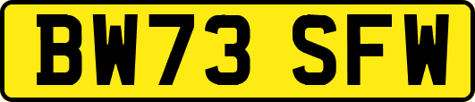 BW73SFW