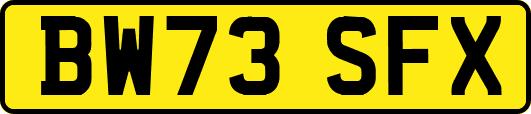 BW73SFX