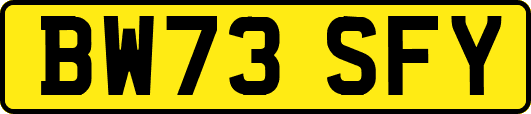 BW73SFY