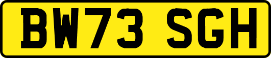 BW73SGH