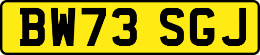 BW73SGJ