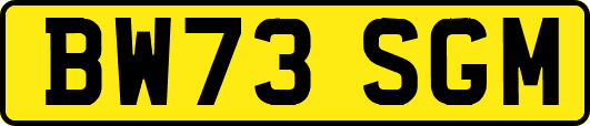 BW73SGM