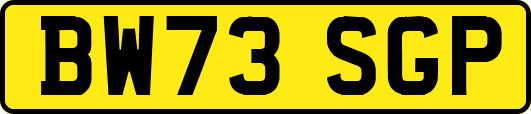 BW73SGP