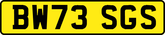 BW73SGS