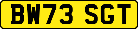 BW73SGT