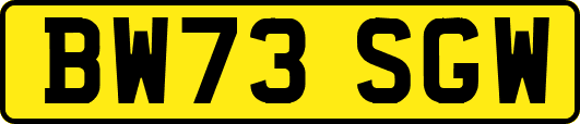 BW73SGW