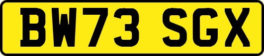 BW73SGX