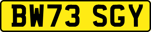 BW73SGY