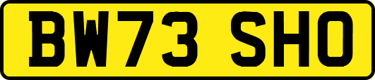 BW73SHO