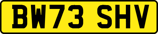 BW73SHV