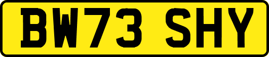 BW73SHY