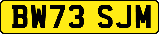 BW73SJM