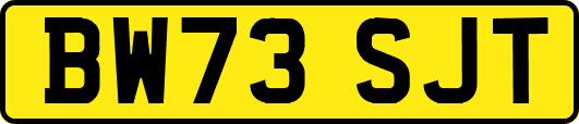 BW73SJT