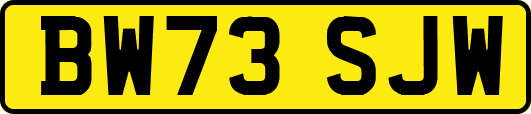 BW73SJW