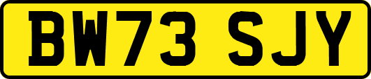 BW73SJY