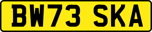 BW73SKA