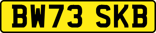 BW73SKB