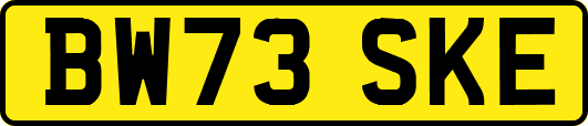 BW73SKE