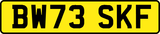 BW73SKF