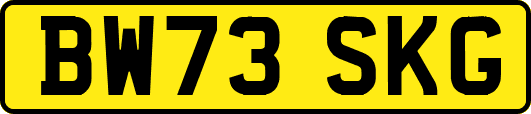 BW73SKG