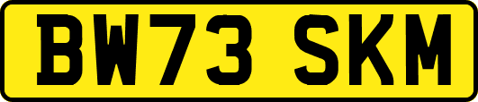 BW73SKM