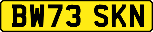 BW73SKN