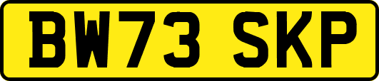 BW73SKP
