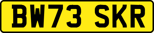 BW73SKR