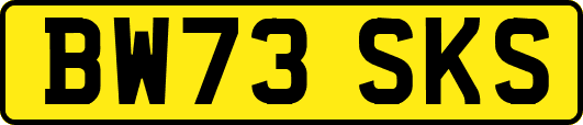 BW73SKS