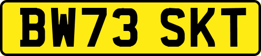 BW73SKT
