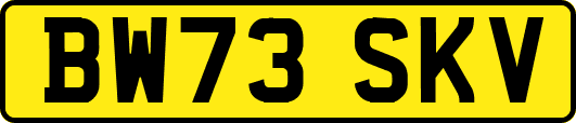 BW73SKV