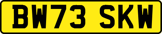 BW73SKW