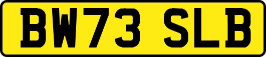 BW73SLB