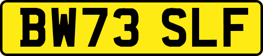 BW73SLF