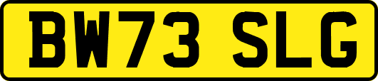 BW73SLG