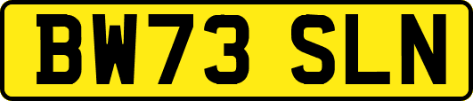 BW73SLN