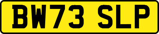 BW73SLP