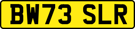 BW73SLR