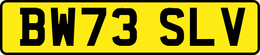 BW73SLV