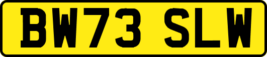 BW73SLW