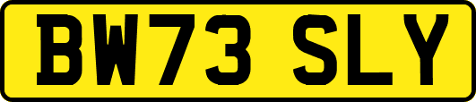 BW73SLY