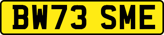 BW73SME