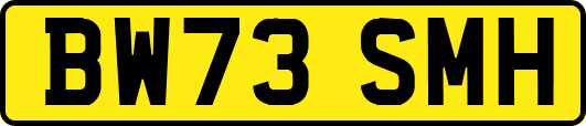BW73SMH