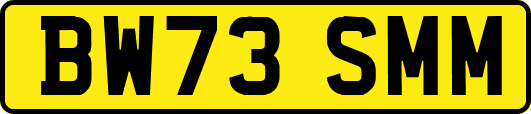 BW73SMM