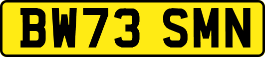 BW73SMN