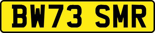 BW73SMR