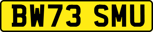 BW73SMU