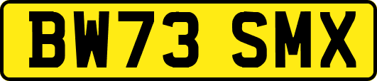 BW73SMX