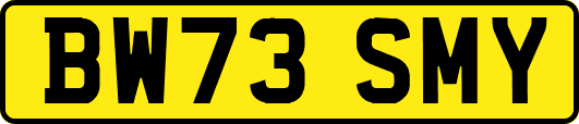 BW73SMY