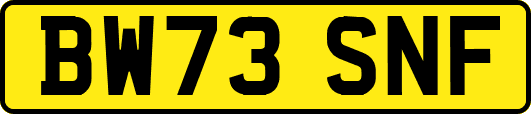 BW73SNF